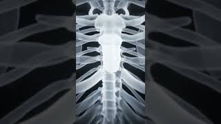 Core Science Fact Human Bones Are Constantly Replacedyour Entire Skeleton Is New Every 10 Years.