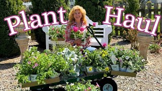 Plant Haul Garden Tour! | Garden Style Up with Thrift Finds!