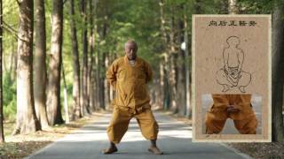 ShaoLin Master of Yi Jin Jing Demonstrate