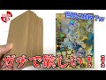 日焼け親亀悟飯ガチ狙いで買ったオリパ開封したらまさかの、、、【SDBH】