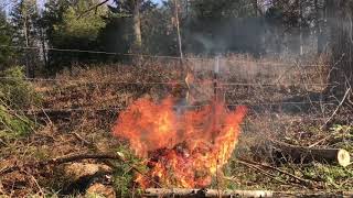 Burning cedar!