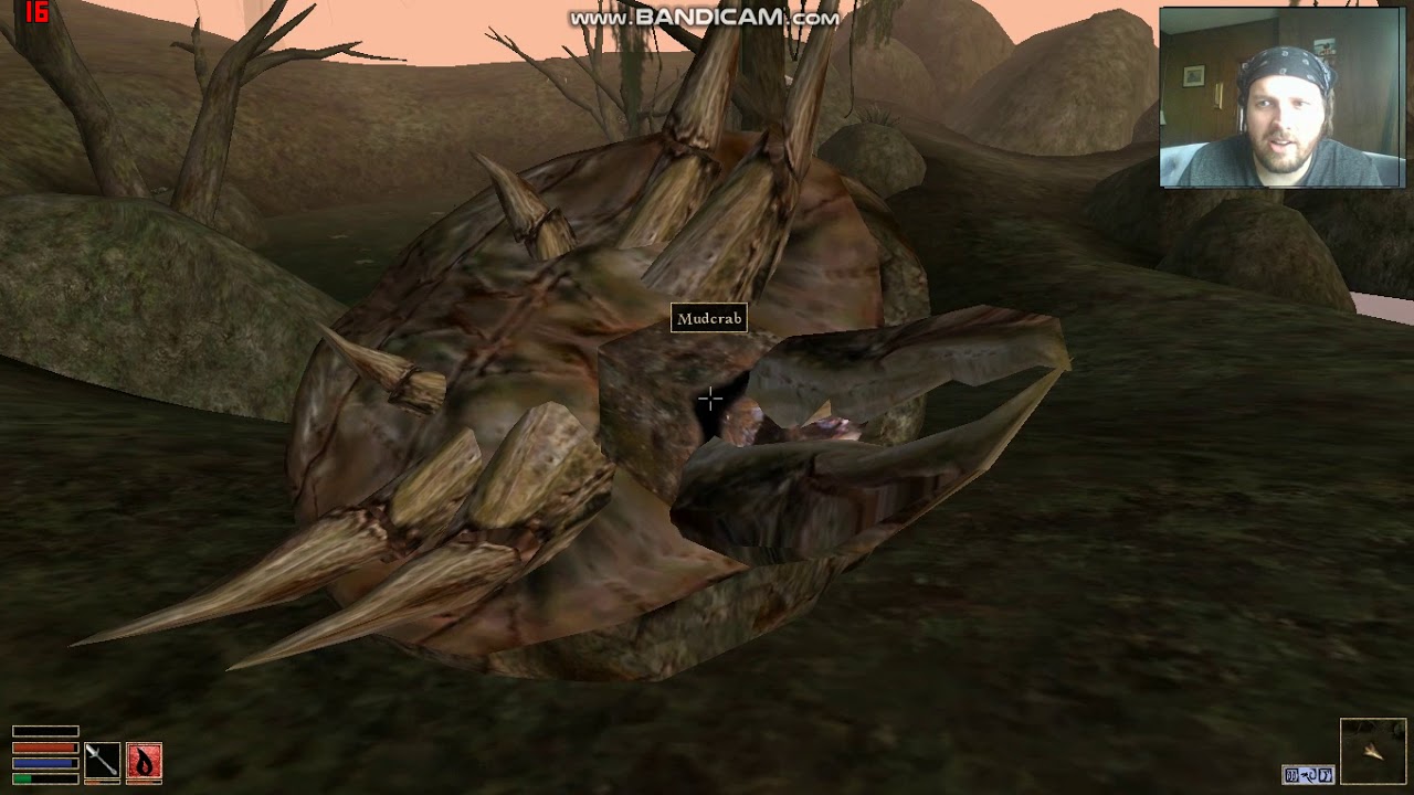 Let's Play Morrowind 8