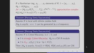 The Mathematical Contributions of Craig Huneke: a Sampler