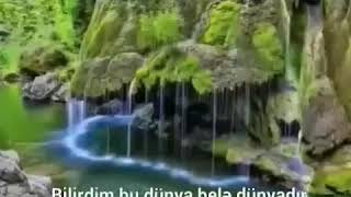 Bilal Efendiyev Qardaşin Dunya Şeiri