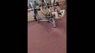 IMG 3246