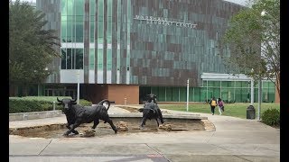 University of South Florida USF Walking Tour w/ Dining & Dorms