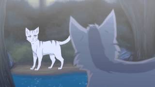 Graystripe x Silverstream AMV Hymn for the Missing