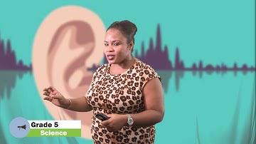 Science - Grade 5: Noise Pollution