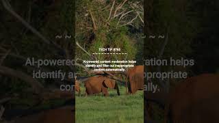 AI-Powered Content Moderation :: 2025-09-10 #shorts #TechTips #dotKey