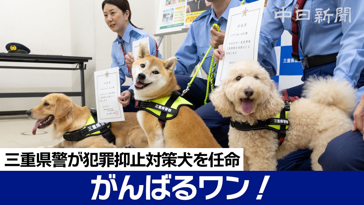 可愛すぎる犬のおまわりさん　三重県警が「県警犯罪抑止対策犬」を３匹任命、SNSで犯罪予防訴える