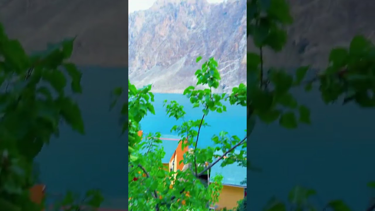 Fresh apricot at Attabad lake 