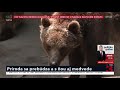 Téma: Príroda sa prebúdza a s ňou aj medvede