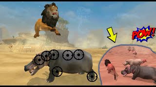 Wild Lion The King Of The Jungle | New Pounce Attack Trick | Lion Family Sim Online Animal