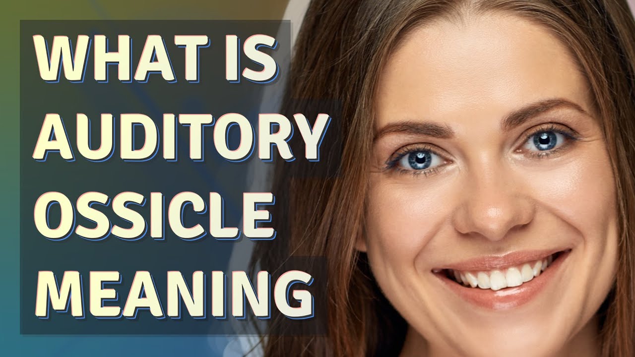 Auditory ossicle | meaning of Auditory ossicle