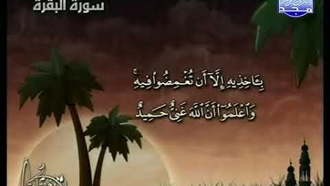 قناة المجد //  تلاوة من سورة البقرة //  مصطفى محمد البيلوني //  رواية حفص عن عاصم  //