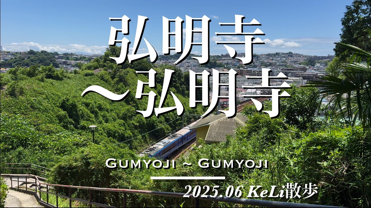 【4K】自然豊かな古刹とグルメの街！横浜市営地下鉄の弘明寺駅から京急の弘明寺駅までお散歩しました！Walking from Gumyoji Sta. to Gumyoji Sta.!