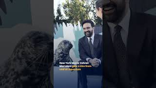New York Mayor Gets Kiss From Seal as City Announces $2 Million Aquarium Investment | IGR
