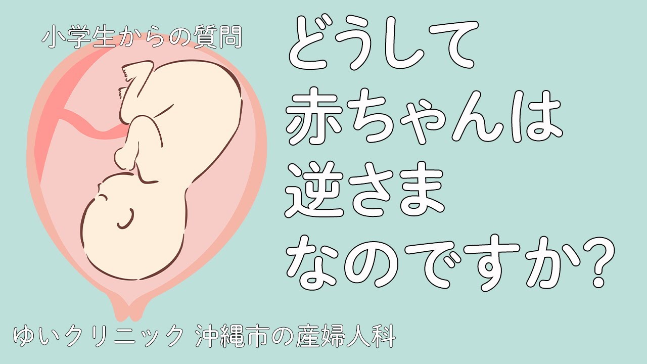 どうして赤ちゃんは逆さまなのですか Youtube