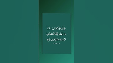 سورة الملك | ٢٩ | فارس عباد