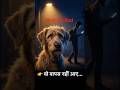 A Dog's Heartbreaking Wait for His Owner #loyalty #petlove