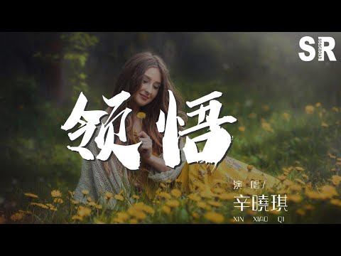 辛曉琪 - 領悟 (Live)『啊 多麼痛的領悟 你曾是我的全部』【動態歌詞Lyrics】