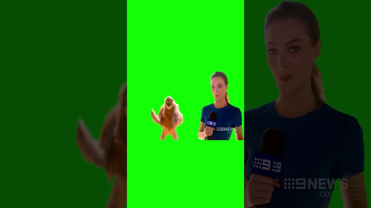Smiling Orangutan meme - Green Screen
