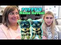 Sharing our New Yorkie Puppy's Names! Family Argument!!
