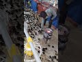 ULEAJI BORA WA VIFARANGA ULEAJI BORA WA VIFARANGA