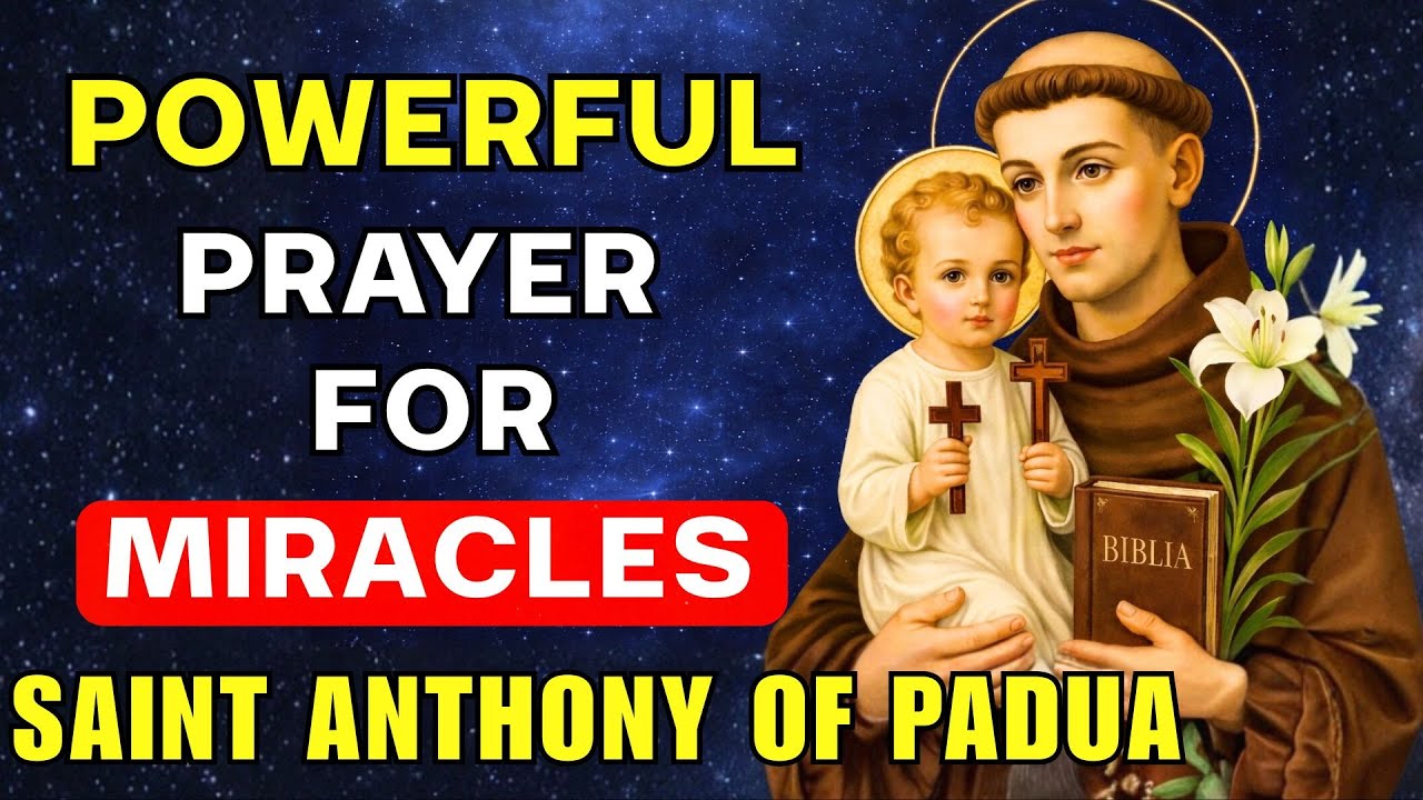 🙏МОЛИТВА СВЯТОМУ АНТОНИЮ ПАДУИЙСКОМУ О ЧУДЕСАХ. МОЛИТВА СВЯТОМУ АНТОНИЮ🙏