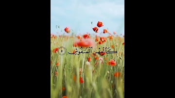 الشيخ أحمد المعصراوي، ما تيسر من سورة القارعة #راحة_نفسية #اكسبلور #لايك