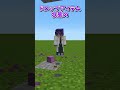 アイテムの噴水【マイクラ豆知識 解説 裏技】