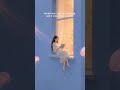 you don't have to come back yet... 🪼 #shorts #lofi #magicallofi #readingvibes #fyp#ghibli