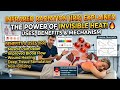 Infrared Radiation (IRR) Explained | Uses, Benefits &amp; Mechanism