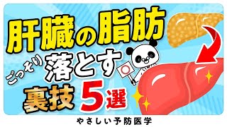 【最新】脂肪肝の「原因」と「改善法」５選