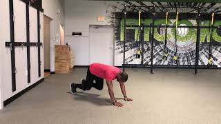 Slider Bear Crawls