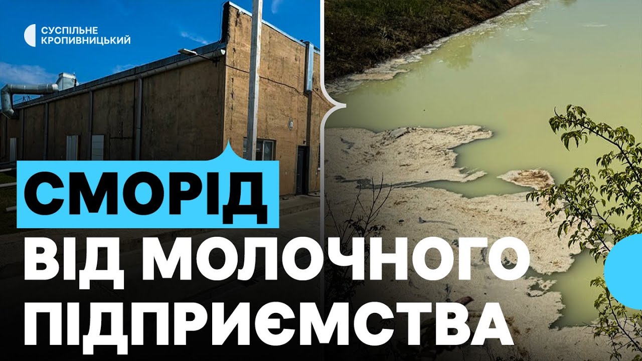 Сморід від молочного підприємства на Кіровоградщині: причини й наслідки
