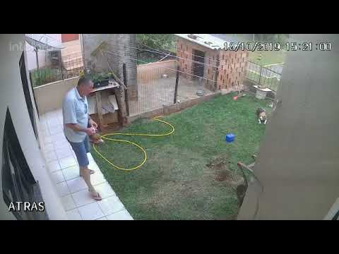 Man Blows Up Yard.