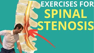 Spinal Stenosis 5 Exercises For Low Back Pain Relief Aleks Physio