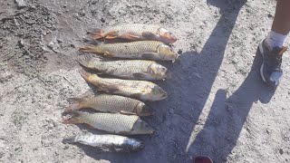 Bienvenidos a un nuevo video de pesca!🏞lugar pesca: puente el
silencio (partido monte)❌subscriptores: 884👉meta
likes:100🤙deja tu like y subscribi...