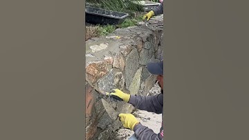 Repointing Stone wall. Easy day today