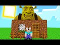Minecraft Noob Speedrunner VS Cursed Shrek Hunter (Dream manhunt challenge)