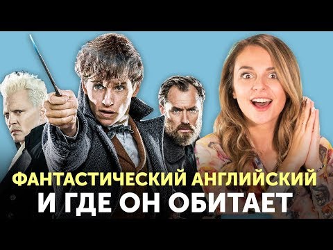 Кадры из фильма Фантастические твари Преступления Грин-де-Вальда