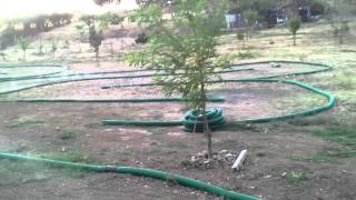 20120730 203129