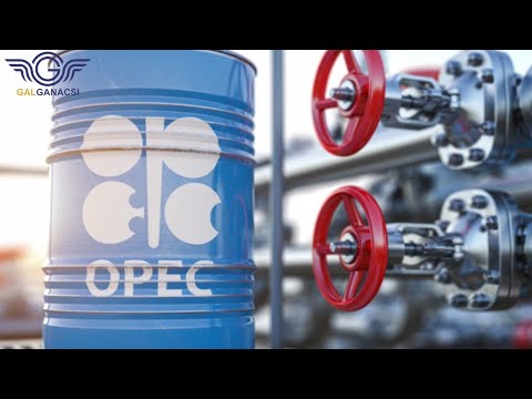 Maxaad Ka taqaan Ururka Wadamada Shidaalka Dhoofiya ee OPEC?