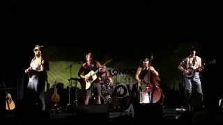 London Acoustic Show 2015 - Steve 'N' Seagulls 'Seek and Destroy'