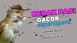 KERAK BASI ROLL VOKAL MEWAH MASTERAN PALING DI CARI VARIASI LAGU NYA MIRIP SIKATAN LONDON!