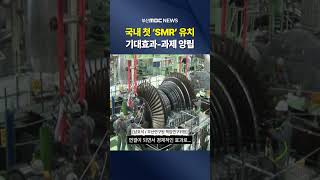 '국내 첫 SMR' 유치...기대 효과와 과제는?