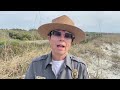 Volunteers Help Remove Invasive Plants From Myrtle Beach State Park Dunes
