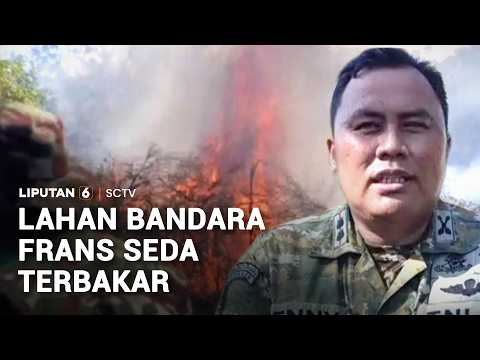 Lahan Bandara Frans Seda Terbakar | Liputan 6