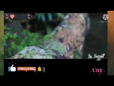 Badar (Official Karaoke Video). SHALAWAT BADAR - CUT ZUHRA